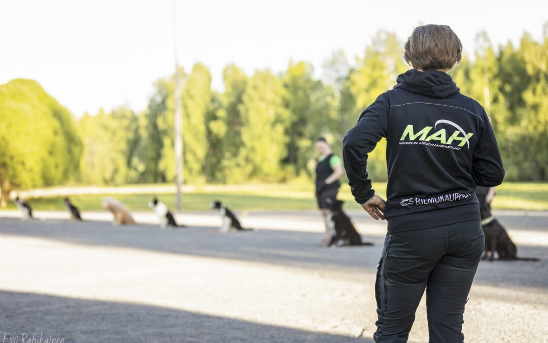 Uudet nettisivut on julkaistu!